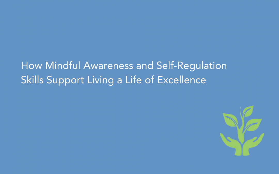 How Mindful Awareness and Self-Regulation Skills Support Living a Life of Excellence