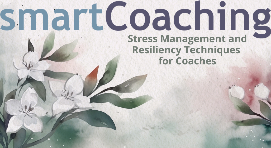 3-smartCoaching