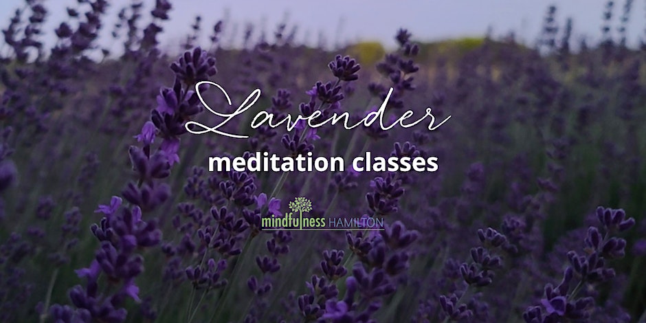 lavender meditation classes