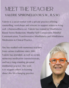 Valerie Spironello